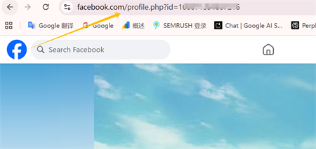 ลิงค์โปรไฟล์ facebook